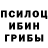 Псилоцибиновые грибы MAGIC MUSHROOMS Pik99Nik tv