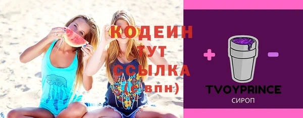 spice Елизово