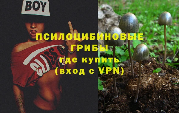 гашиш Ельня