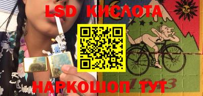 Альфа ПВП Бийск