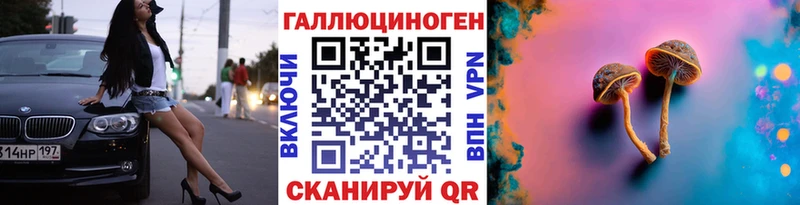 купить наркотики цена  Дмитров  Галлюциногенные грибы мицелий 