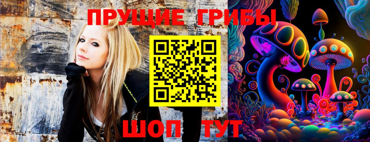 Дмитров  Псилоцибиновые грибы Magic Shrooms  Вход с VPN 